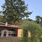 Singola